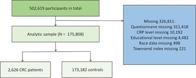 Oxidative balance score: a potential tool for reducing the risk of colorectal cancer and its subsites incidences